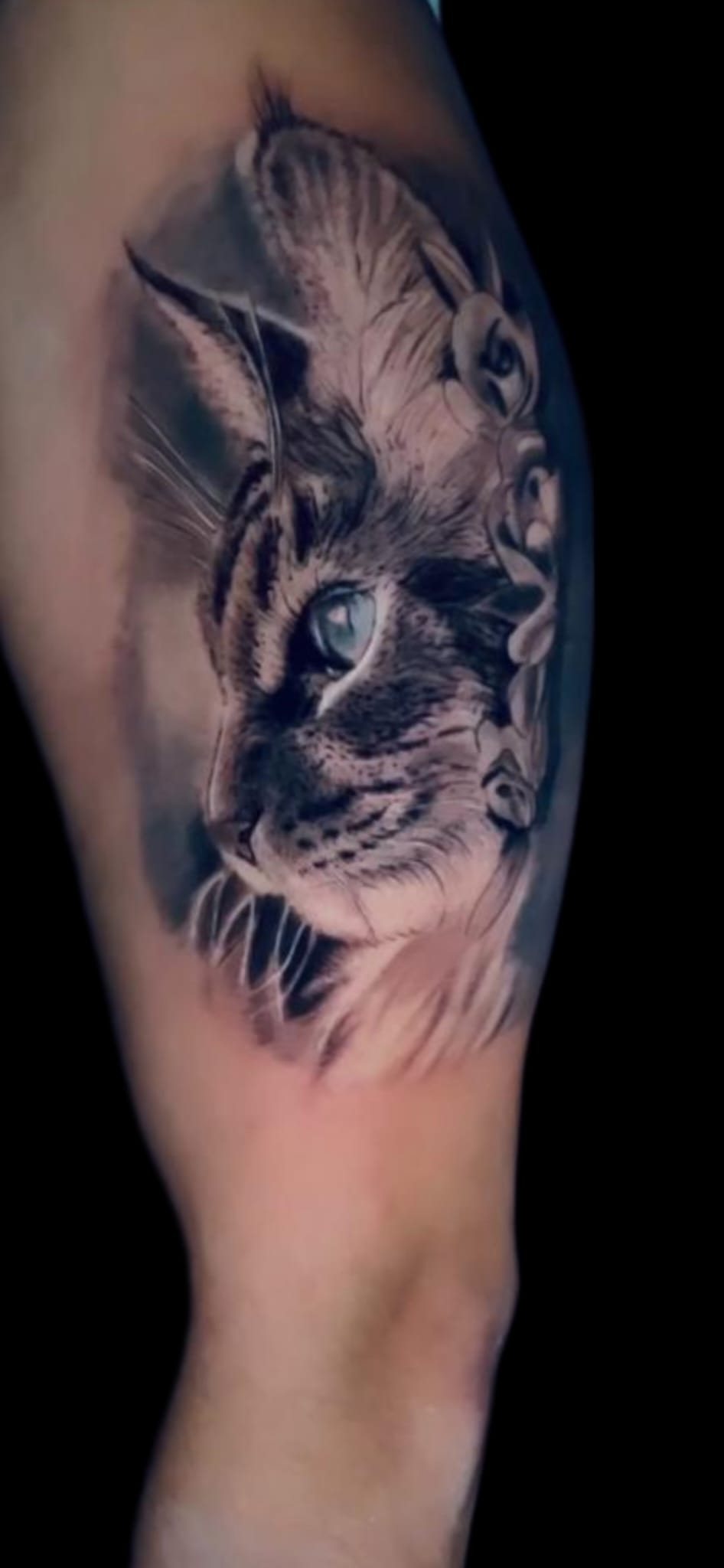 Lobo tatuado en realismo
